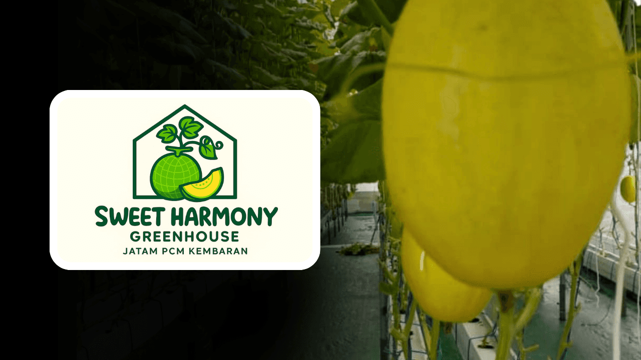 Greenhouse Sweet Harmony JATAM PCM Kembaran Jadi Rujukan Studi Banding dan Kajian Ilmiah